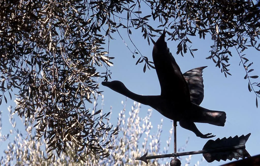 Agriturismo Il Risveglio Imperia 0*,  Italia