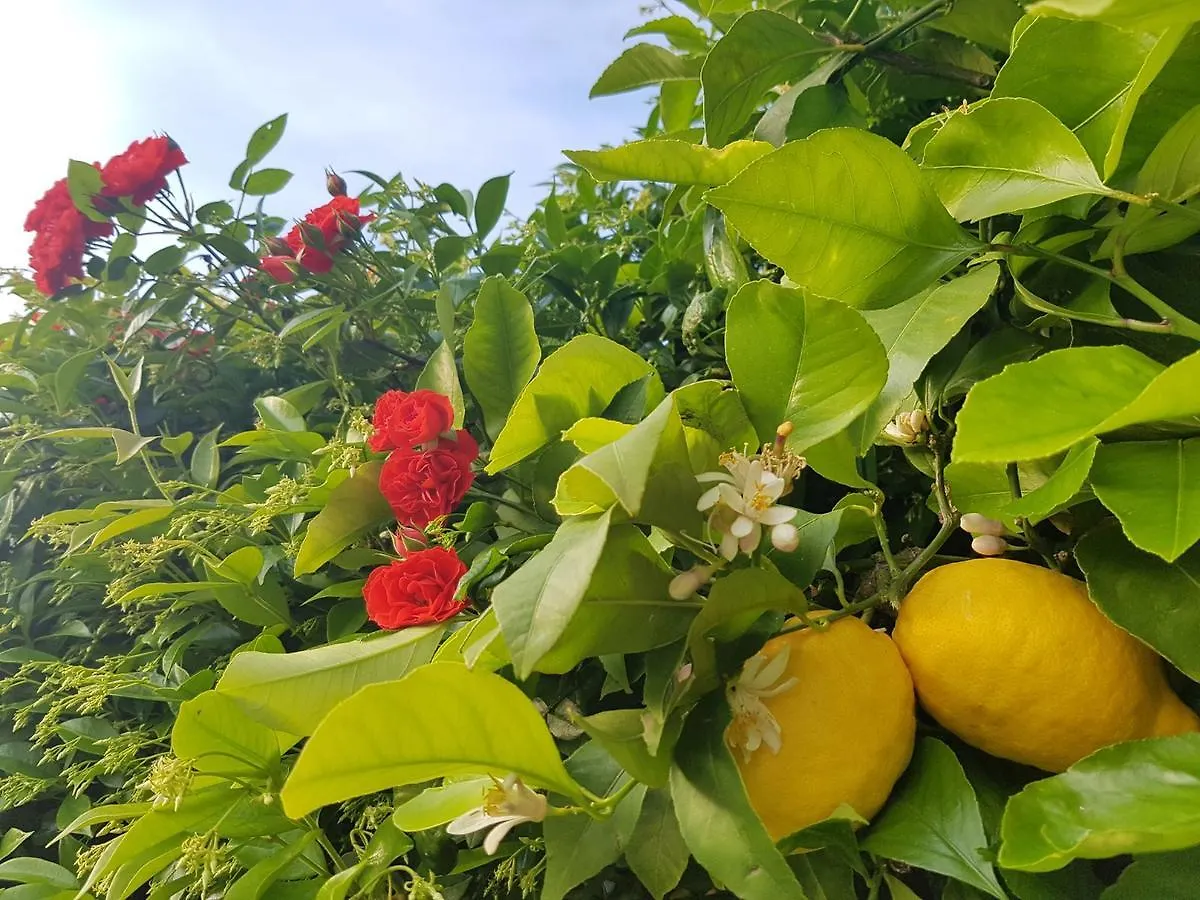 Alloggio per agriturismo Agriturismo Il Risveglio Imperia